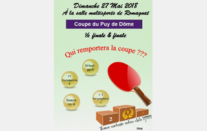 1/2 finale et finale de la coupe du Puy de Dôme Tableau C